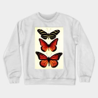 Zebra and Milkweed Butterflies, 1904 Crewneck Sweatshirt